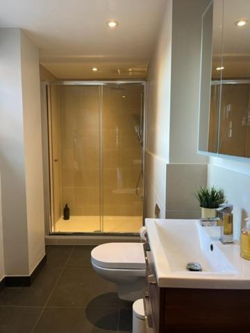 Charming 1 Bedroom In Town Centre Apartment Chertsey